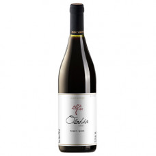 VINO TINTO OLADIA PINOT NOIR VINTAGE 750 ML